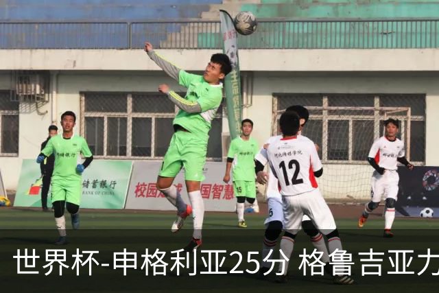 世界杯-申格利亚25分 格鲁吉亚力克委内瑞拉