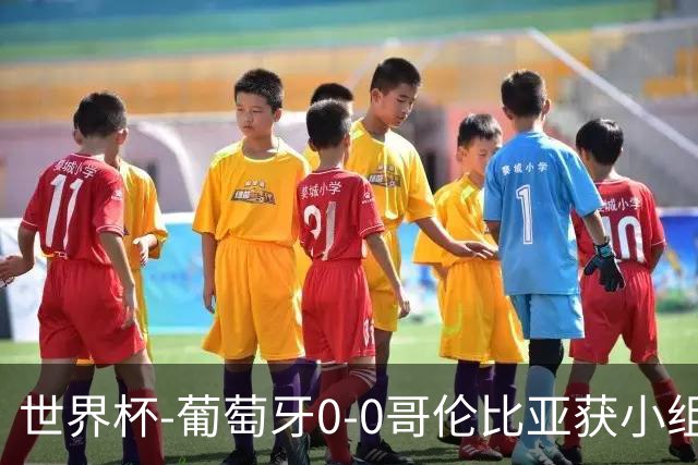 世界杯-葡萄牙0-0哥伦比亚获小组第2 将战克罗地亚